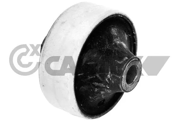 Mounting, control/trailing arm (482523)