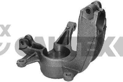 Steering Knuckle, wheel suspension (770877)
