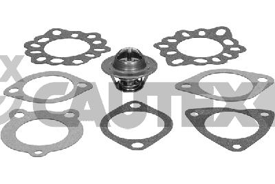 Thermostat, coolant (770196)