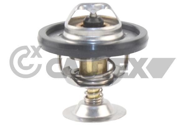 Thermostat, coolant (772129)