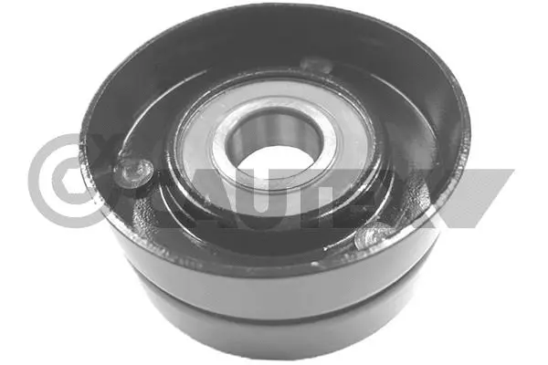 Tensioner Pulley, V-ribbed belt (769639)
