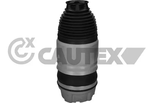 Air Spring, suspension (753038)