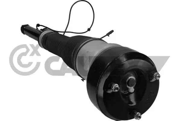 Air Suspension Strut (751964)