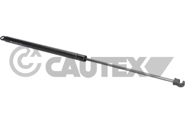 Gas Spring, boot/cargo area (773371)