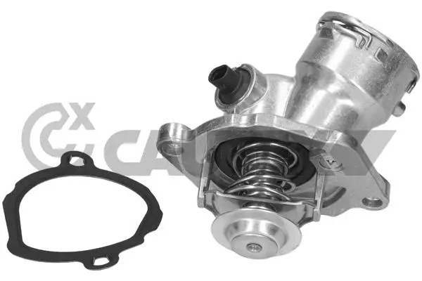 Thermostat, coolant (758391)