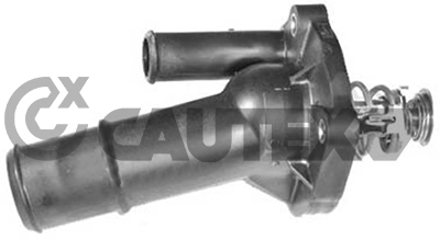 Thermostat, coolant (756856)