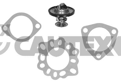 Thermostat, coolant (770193)