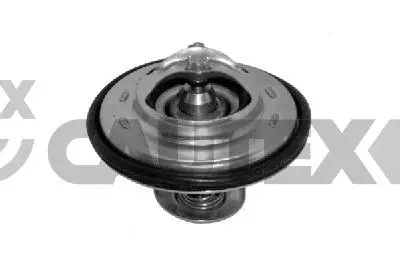 Thermostat, coolant (772446)