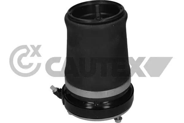 Air Spring, suspension (752893)