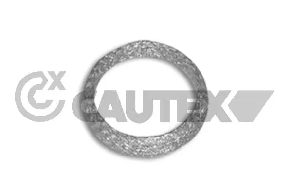 Gasket, exhaust pipe (954218)
