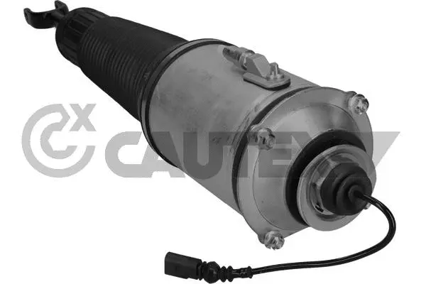 Air Suspension Strut (752013)