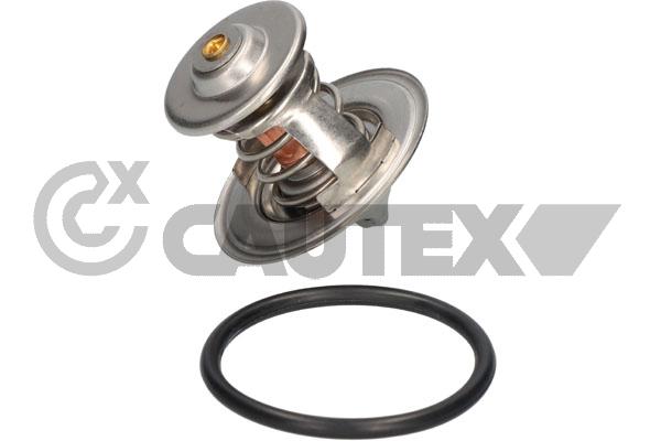 Thermostat, coolant (772144)