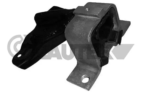 Mounting, engine (021069)