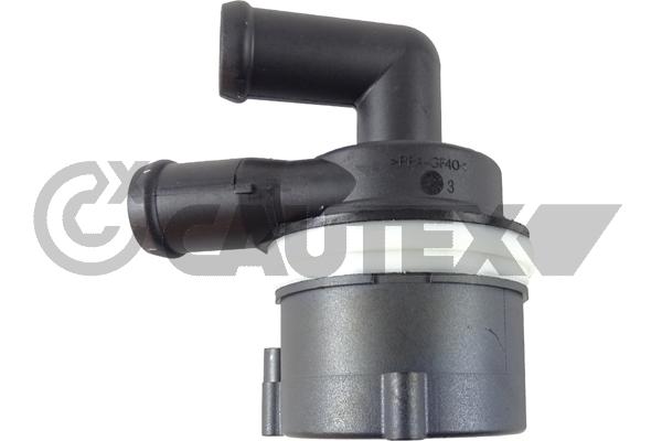 Auxiliary Water Pump (cooling water circuit) (768119)