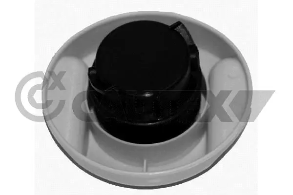 Sealing Cap, oil filler neck (481067)