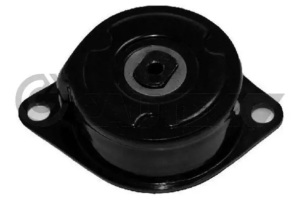 Belt Tensioner, V-ribbed belt (461349)