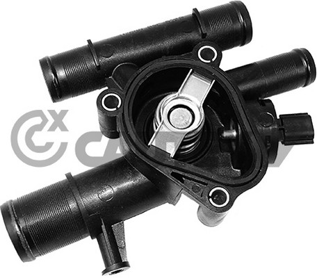 Thermostat, coolant (756877)