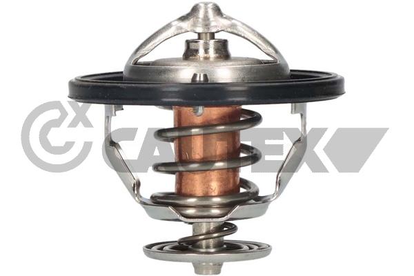 Thermostat, coolant (756879)