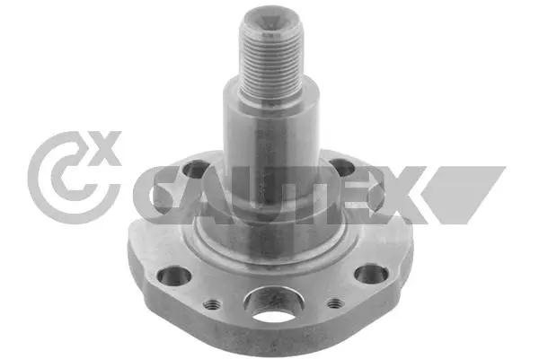 Kingpin, axle beam (769757)