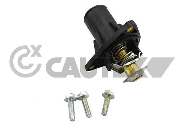 Thermostat, coolant (772138)