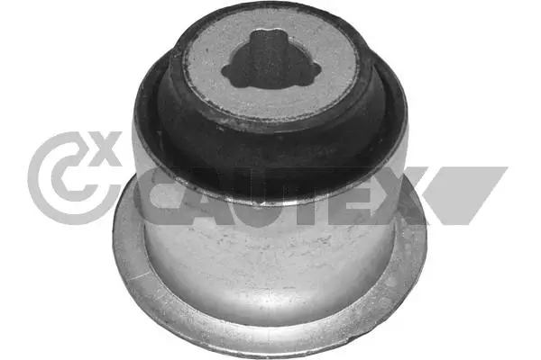 Mounting, control/trailing arm (020895)