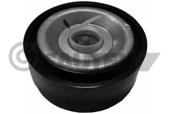Deflection/Guide Pulley, V-ribbed belt (759648)