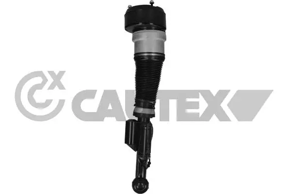 Air Suspension Strut (752137)