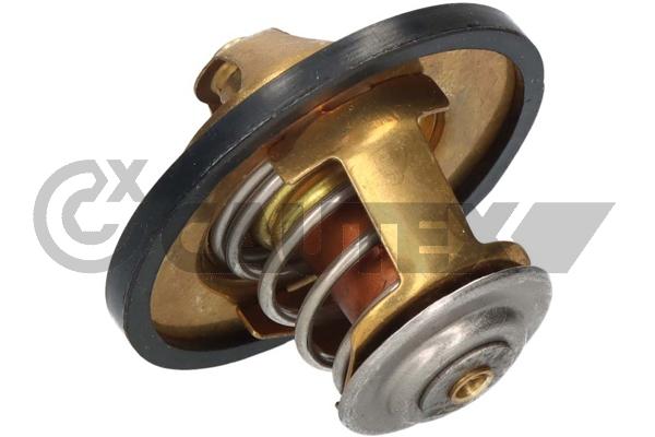 Thermostat, coolant (756899)