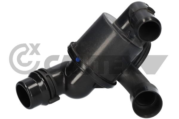 Thermostat, coolant (756847)