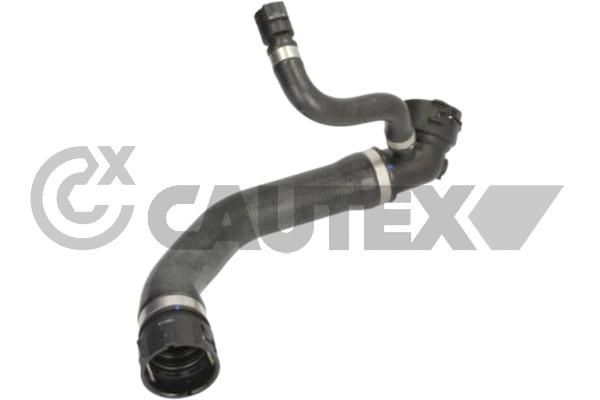 Radiator Hose (775463)