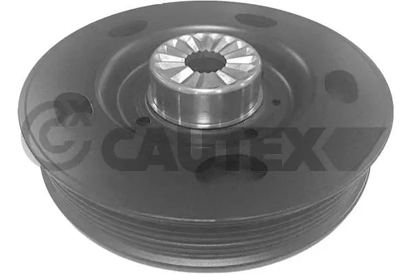 Belt Pulley, crankshaft (755580)