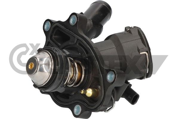 Thermostat, coolant (772543)