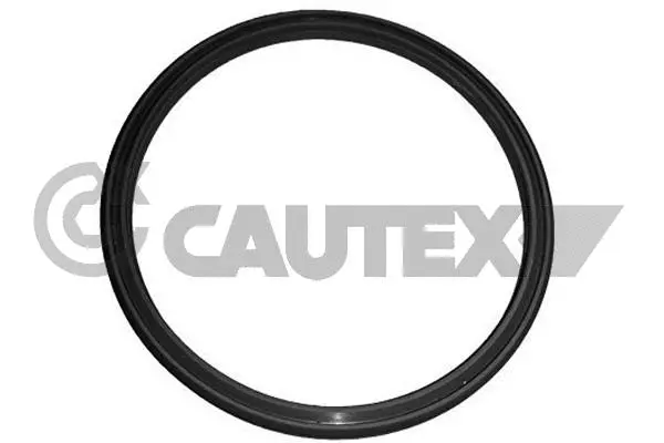 Seal Ring, charge air hose (751979)