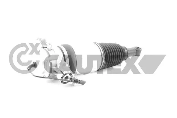 Air Suspension Strut (752123)