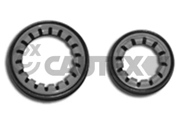 Shaft Seal, differential (031094)