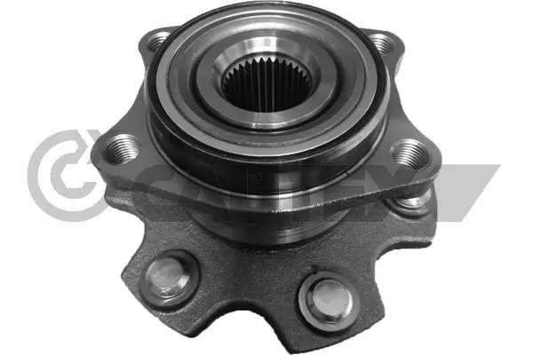 Wheel Hub (764428)