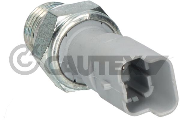 Oil Pressure Switch (770270)