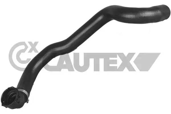 Radiator Hose (036749)