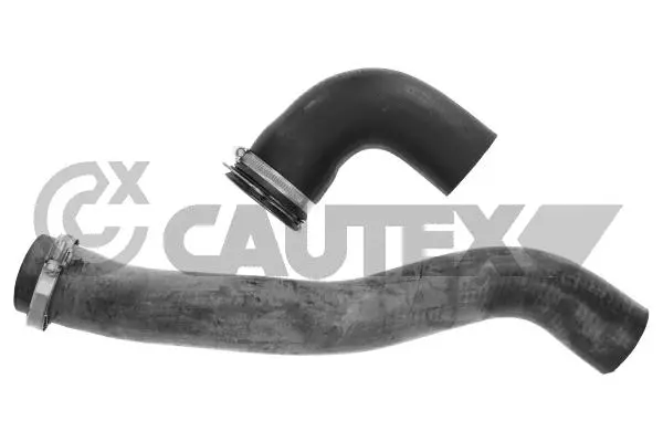 Radiator Hose (771025)