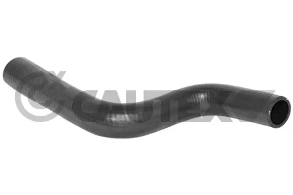 Radiator Hose (026295)