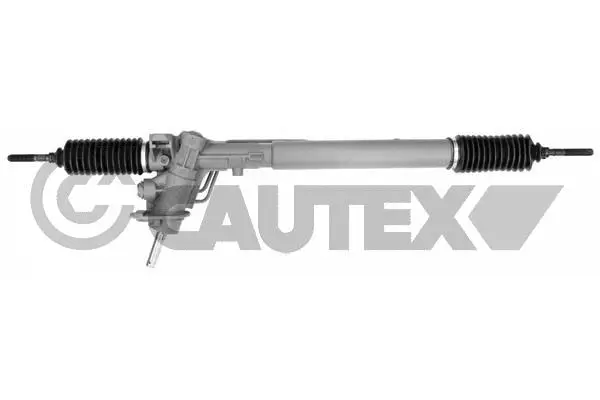 Steering Gear (773834)