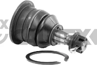 Ball Joint (774732)
