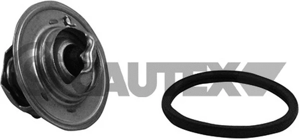Thermostat, coolant (756882)
