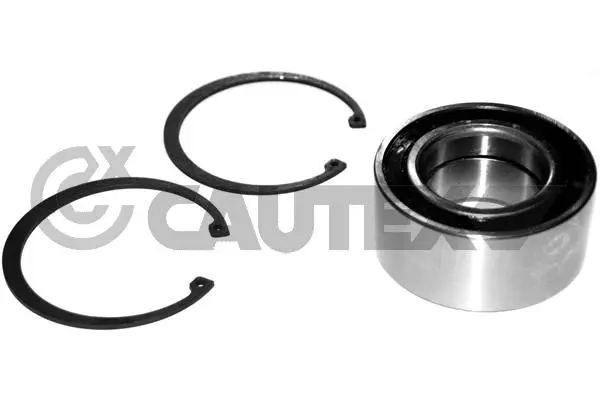 Wheel Bearing Kit (462594)