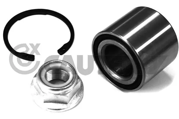 Wheel Bearing Kit (462601)