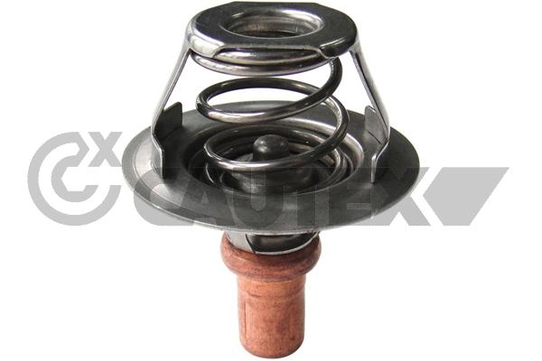 Thermostat, coolant (756889)