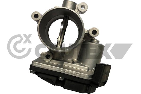 Throttle Body (766790)