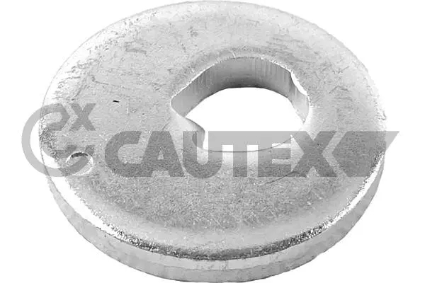 Caster Shim, axle beam (758558)