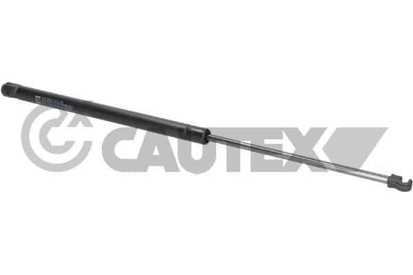 Gas Spring, boot/cargo area (772746)