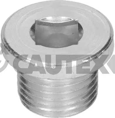 Screw Plug, oil sump (952004)